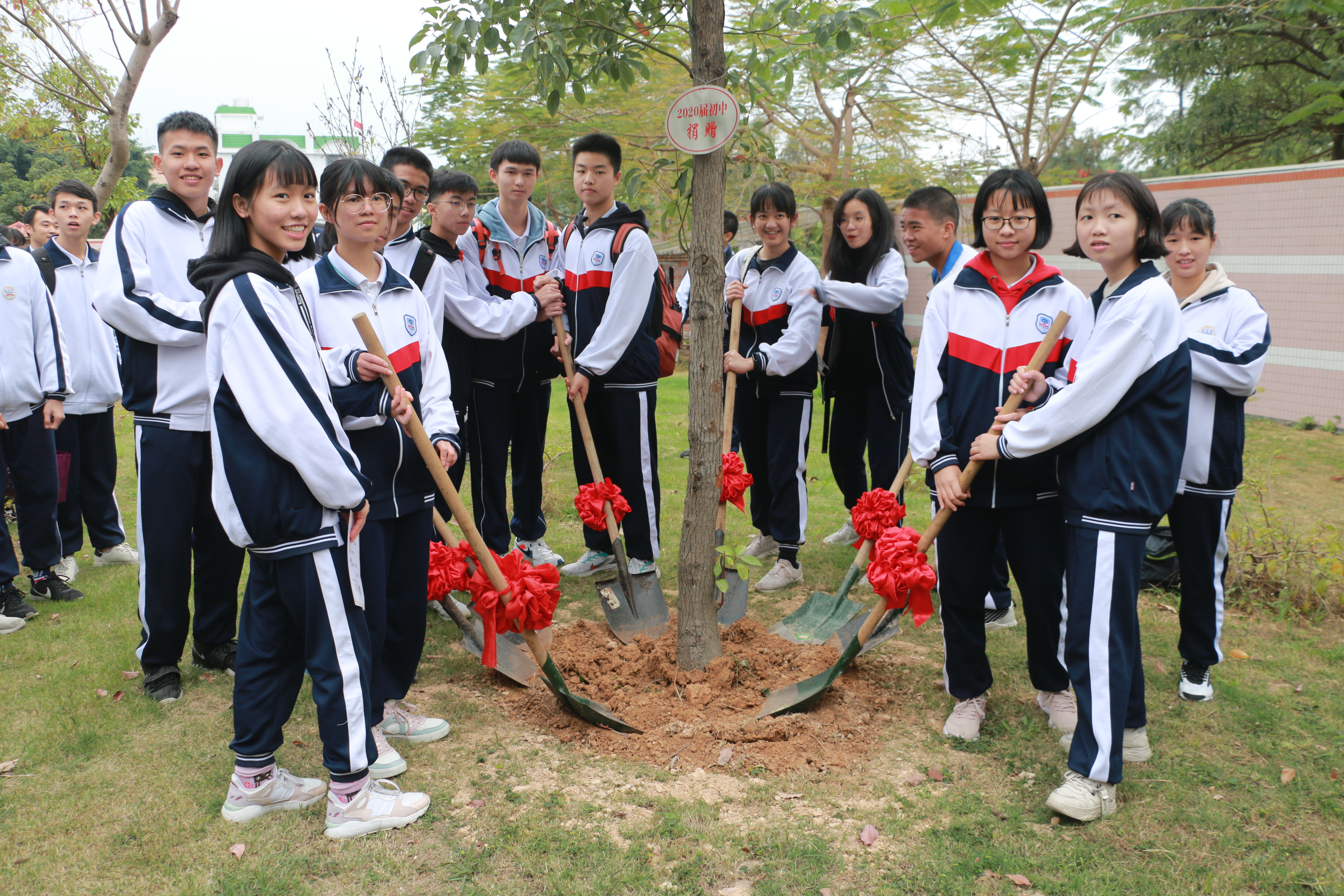 16、種植狀元樹.JPG