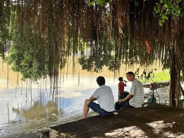 村民在大榕樹下乘涼聊天，黃姨（中）在岸邊唱歌。伍思懿 攝 