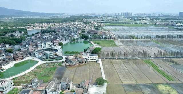 從長沙街道西溪村上空俯瞰，遠處青山疊翠、高樓聳立，近處屋舍儼然，池塘星羅棋布，農(nóng)田成方連片