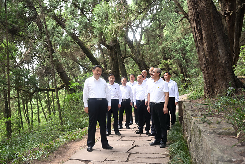 7月25日至27日，中共中央總書記、國(guó)家主席、中央軍委主席習(xí)近平在四川考察。這是25日下午，習(xí)近平在廣元市劍閣縣翠云廊考察。
