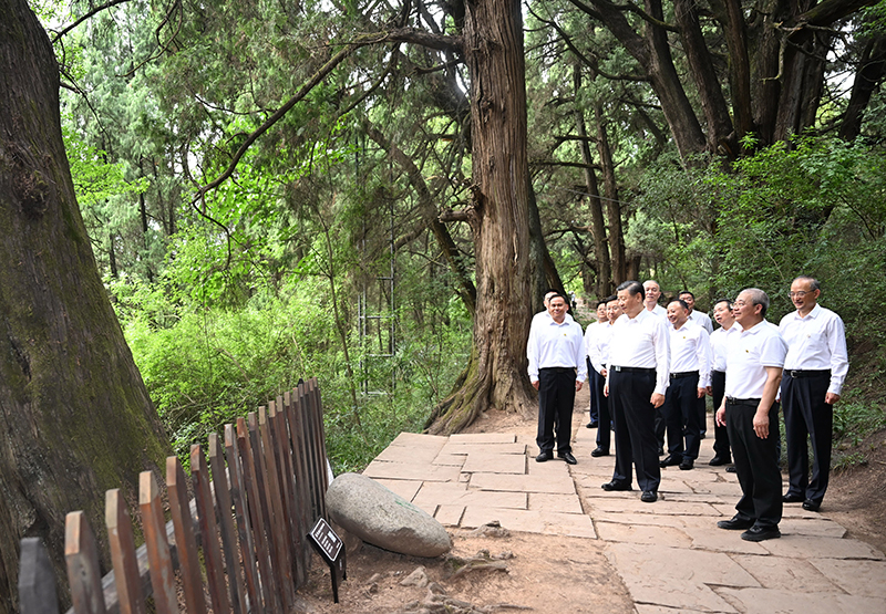 7月25日至27日，中共中央總書記、國(guó)家主席、中央軍委主席習(xí)近平在四川考察。這是25日下午，習(xí)近平在廣元市劍閣縣翠云廊考察。