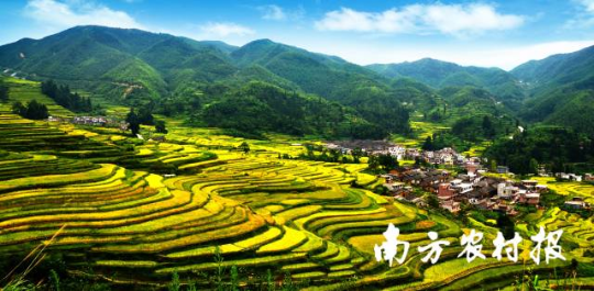 韶關(guān)樂(lè)昌市“詩(shī)畫(huà)田園”鄉(xiāng)村游線(xiàn)路