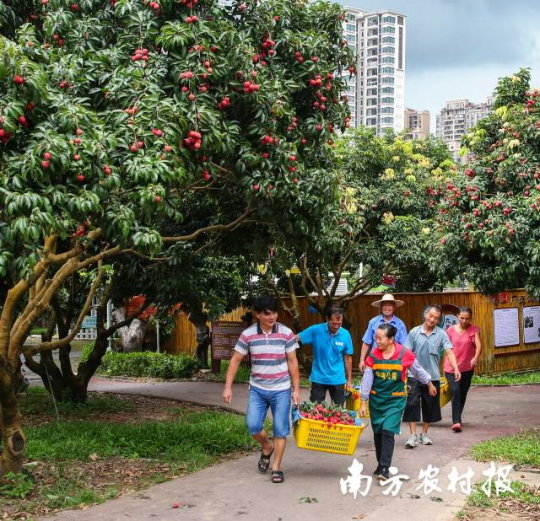 受訪(fǎng)者供圖