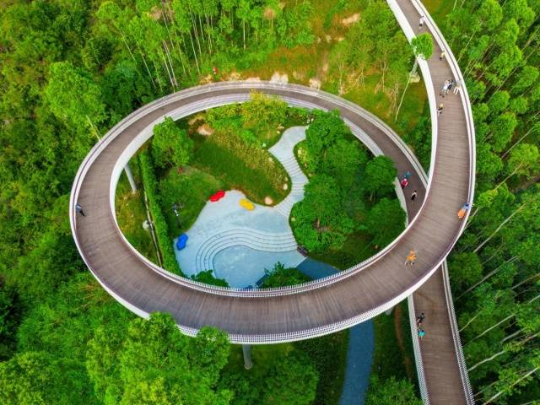 珠海紅花山森林公園。圖源：南方+ 
