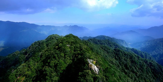 國際生物多樣性日 | 廣東物種“家底”有多厚？