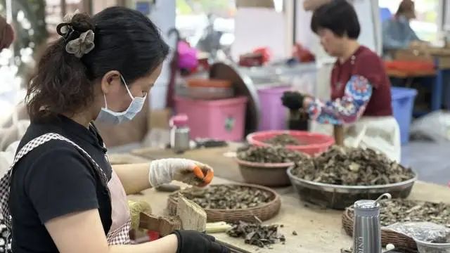 沉香加工利用。