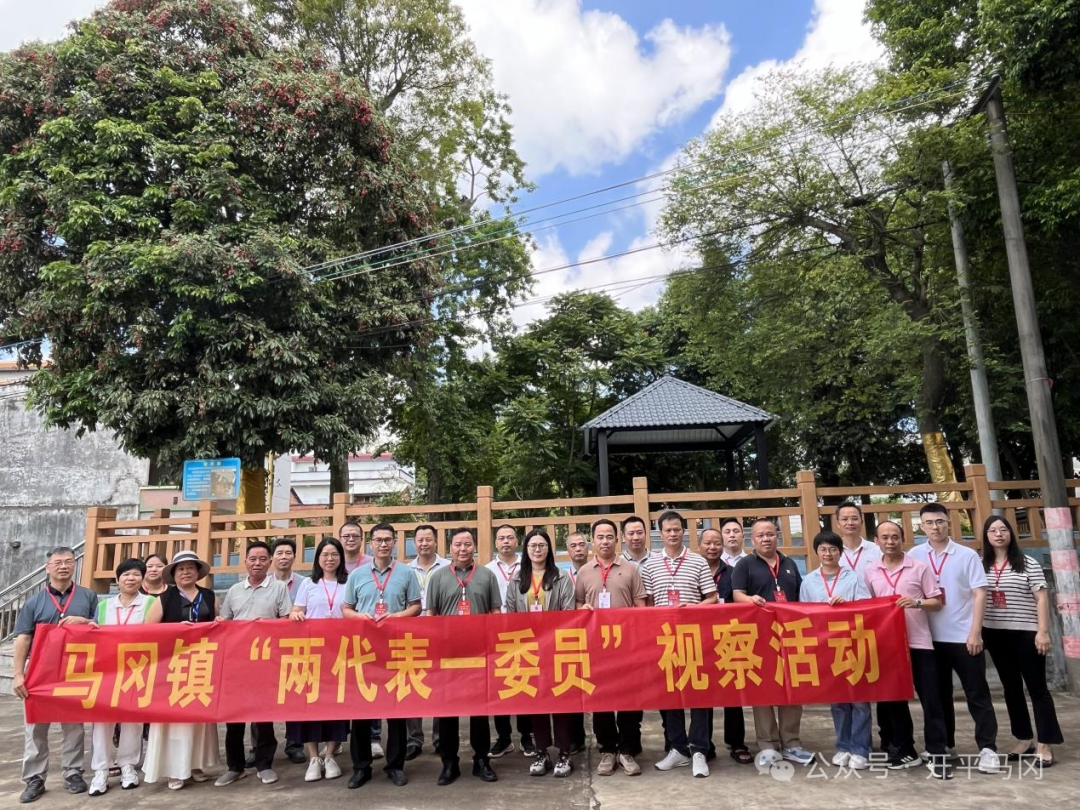 深入一線督項目 集智聚力促民生——馬岡鎮(zhèn)開展第二季度“兩代表一委員”集中視察活動 border=